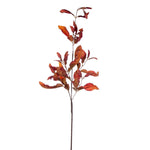 Vickerman FM220446 44.5" Orange Artificial Dried Pomelo Leaves Spray 2 Per Bag.