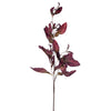 Vickerman FM220447 44.5" Plum Artificial Dried Pomelo Leaves Spray 2 Per Bag.