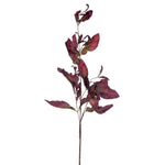 Vickerman FM220447 44.5" Plum Artificial Dried Pomelo Leaves Spray 2 Per Bag.