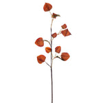 Vickerman FM220633 30.5" Orange Artificial Dried Lantern Spray 2 Per Bag.