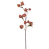 Vickerman FM220634 30.5" Light Orange Artificial Dried Lantern Spray 2 Per Bag.