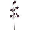 Vickerman FM220635 30.5" Dark Purple Artificial Dried Lantern Spray 2 Per Bag.