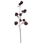 Vickerman FM220635 30.5" Dark Purple Artificial Dried Lantern Spray 2 Per Bag.