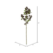 Vickerman FM222506 31