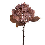 Vickerman FM223418 18.5" Light Mauve Artificial Dried Hydrangea Spray 2 Per Bag.