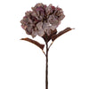 Vickerman FM223419 18.5" Plum Green Artificial Dried Hydrangea Spray 2 Per Bag.
