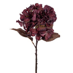 Vickerman FM223420 18.5" Light Burgundy Artificial Dried Hydrangea Spray 2 Per Bag.