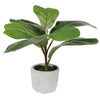 Vickerman FM223501 11" Green Artificial Fiddle Leaf Fig Plant In Pot.