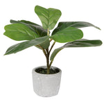 Vickerman FM223501 11" Green Artificial Fiddle Leaf Fig Plant In Pot.