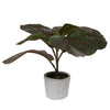 Vickerman FM223502 11" Red And Green Artificial Fiddle Leaf Fig Plant In Pot.