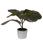 Vickerman FM223502 11" Red And Green Artificial Fiddle Leaf Fig Plant In Pot.