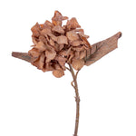 Vickerman FM224013 13" Tan Artificial Dried Hydrangea Spray 6 Per Bag.