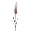 Vickerman FM224746 44" Cream Glitter Artificial Reed Spray 2 Per Bundle.