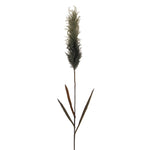 Vickerman FM224748 44" Dark Green Glitter Artificial Reed Spray 2 Per Bundle.