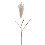 Vickerman FM224953 51" Cream Artificial Reed Spray 2 Per Bundle.