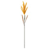 Vickerman FM224957 51" Light Gold Artificial Reed Spray 2 Per Bundle.