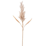 Vickerman FM225036 36" Tan Artificial Dried Cluster Reed Spray 3 Per Bag.