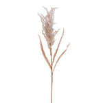 Vickerman FM225239 39" Tan Artificial Dried Plum Grass Spray 2 Per Bag.
