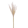 Vickerman FM225327 26" Cream Glitter Artificial Reed Spray 3 Per Bag.