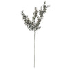Vickerman FM226929 26.5" Dark Green Eucalyptus Spray 2 Per Bundle.