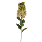Vickerman FM228104 35.5" Light Green Artificial Cone Hydrangea Spray 2/Pk.