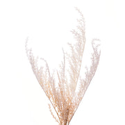 Vickerman FM228921 20.5
