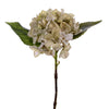 Vickerman FM229713 13" White Artificial Dried Hydrangea Pick 3 Per Bag.