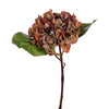 Vickerman FM229715 13" Orange Artificial Dried Hydrangea Pick 3 Per Bag.