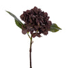 Vickerman FM229716 13" Brown Artificial Dried Hydrangea Pick 3 Per Bag.