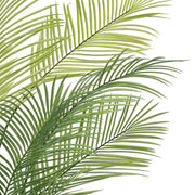 Vickerman FM238550 50