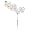 Vickerman FN220534 34" White Artificial Orchid Stem Real Touch.