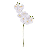 Vickerman FN220734 34" White Artificial Orchid Stem 2 Per Bag.