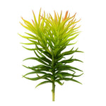 Vickerman FO180301 8" Artificial Green Crassula Tetragona Pick Set Of 3