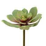 Vickerman FO181501 5.5" Artificial Green Echeveria Pick Pack Of 3