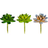 Vickerman FO192003 3" Artificial Assorted Succulent Picks 6 Per Bag