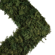 Vickerman FQ170102 15 .5