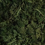 Vickerman FQ170102 15 .5