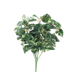 Vickerman FQ170501 17" Artificial Green And Cream Pothos Leaf Bush.