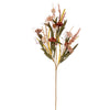 Vickerman FQ222331 31" Brown And Cream Artificial Carnation And Chinese Lantern Spray 2 Per Bag.