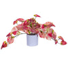 Vickerman FR230103 16" Artificial Red Variegated Leaves In Pot.
