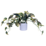 Vickerman FR230104 16" Artificial Green Variegated Leaves In Pot.