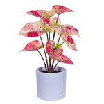 Vickerman FR230603 11.5" Artificial Red Variegated Leaves In Pot. Includes Two Pieces Per Bag.