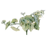 Vickerman FR231213 15" Artificial Light Green Hanging Variegated Leaves Vine. Includes Two Pieces Per Bag.