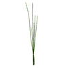 Vickerman FS190201 31'' Artificial Green Horsetail Bundle Pack Of 2
