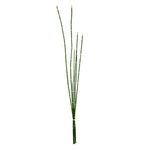 Vickerman FS190201 31'' Artificial Green Horsetail Bundle Pack Of 2