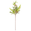 Vickerman FS232627 27" Artificial Green Olive Spray 3/Bag. Features Green Foliage With Dark Orange Olives.