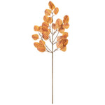 Vickerman FT228932 32" Autumn Orange Artificial Silver Dollar Eucalyptus Leaf Spray 3 Per Bag.