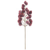 Vickerman FT228933 32" Burgundy Artificial Silver Dollar Eucalyptus Leaf Spray 3 Per Bag.