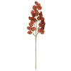 Vickerman FT228935 32" Dark Brown Artificial Silver Dollar Eucalyptus Leaf Spray 3 Per Bag.