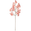 Vickerman FT228937 32" Peach Artificial Silver Dollar Eucalyptus Leaf Spray 3 Per Bag.